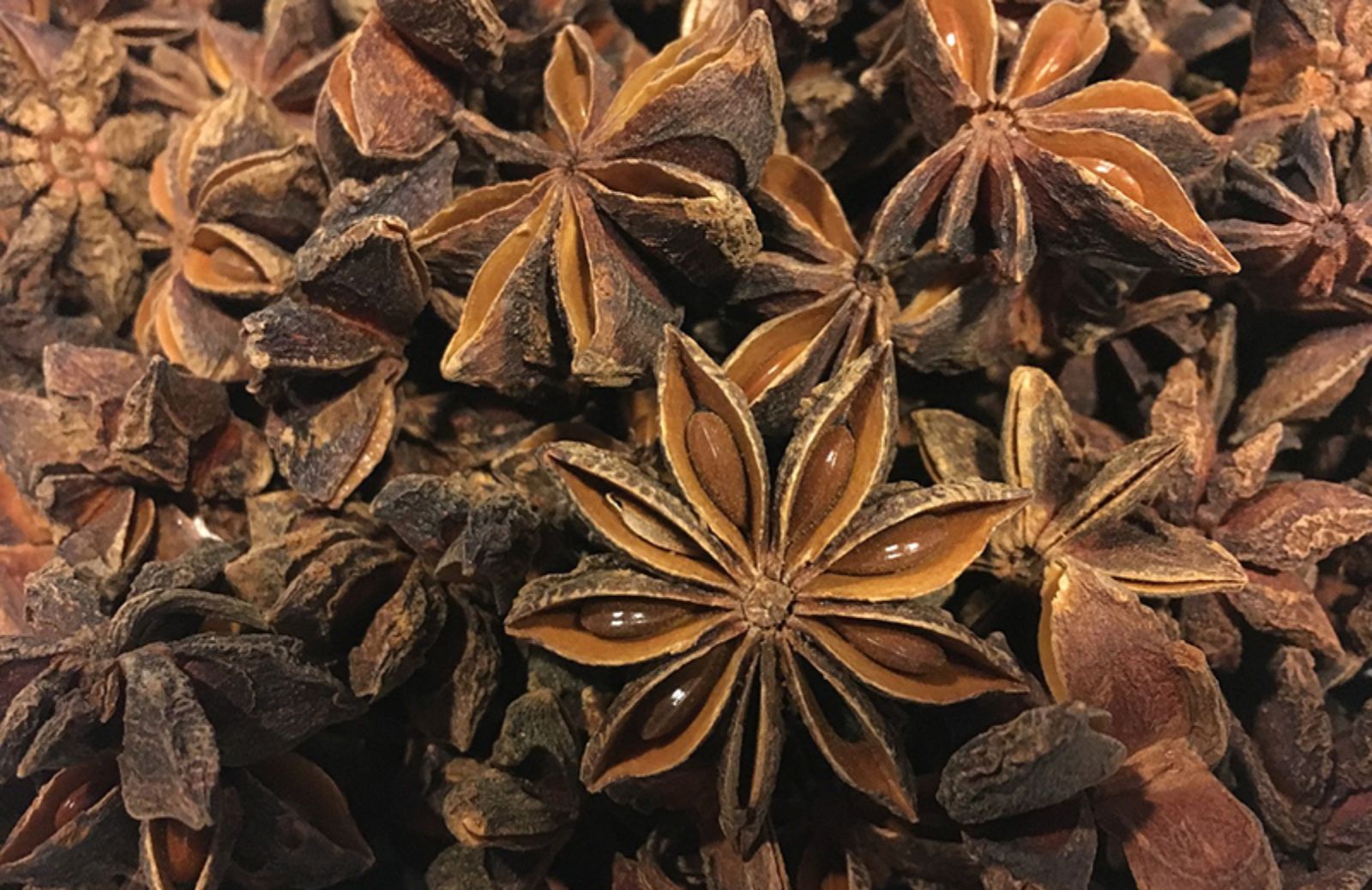 Decorazioni natalizie con l'anice stellato: 3 idee da copiare subito