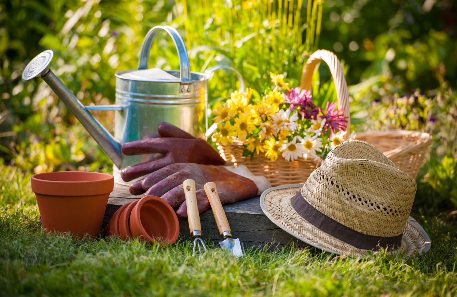 Giardinaggio fai da te: 8 fiori da piantare a maggio