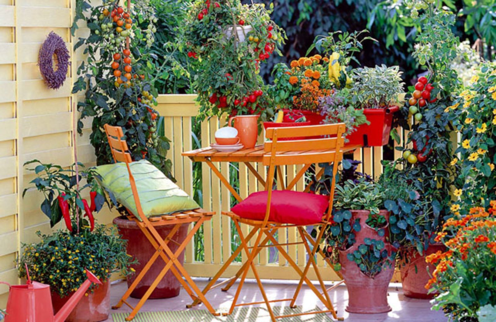 I 5 ortaggi da coltivare su un balcone esposto al sole