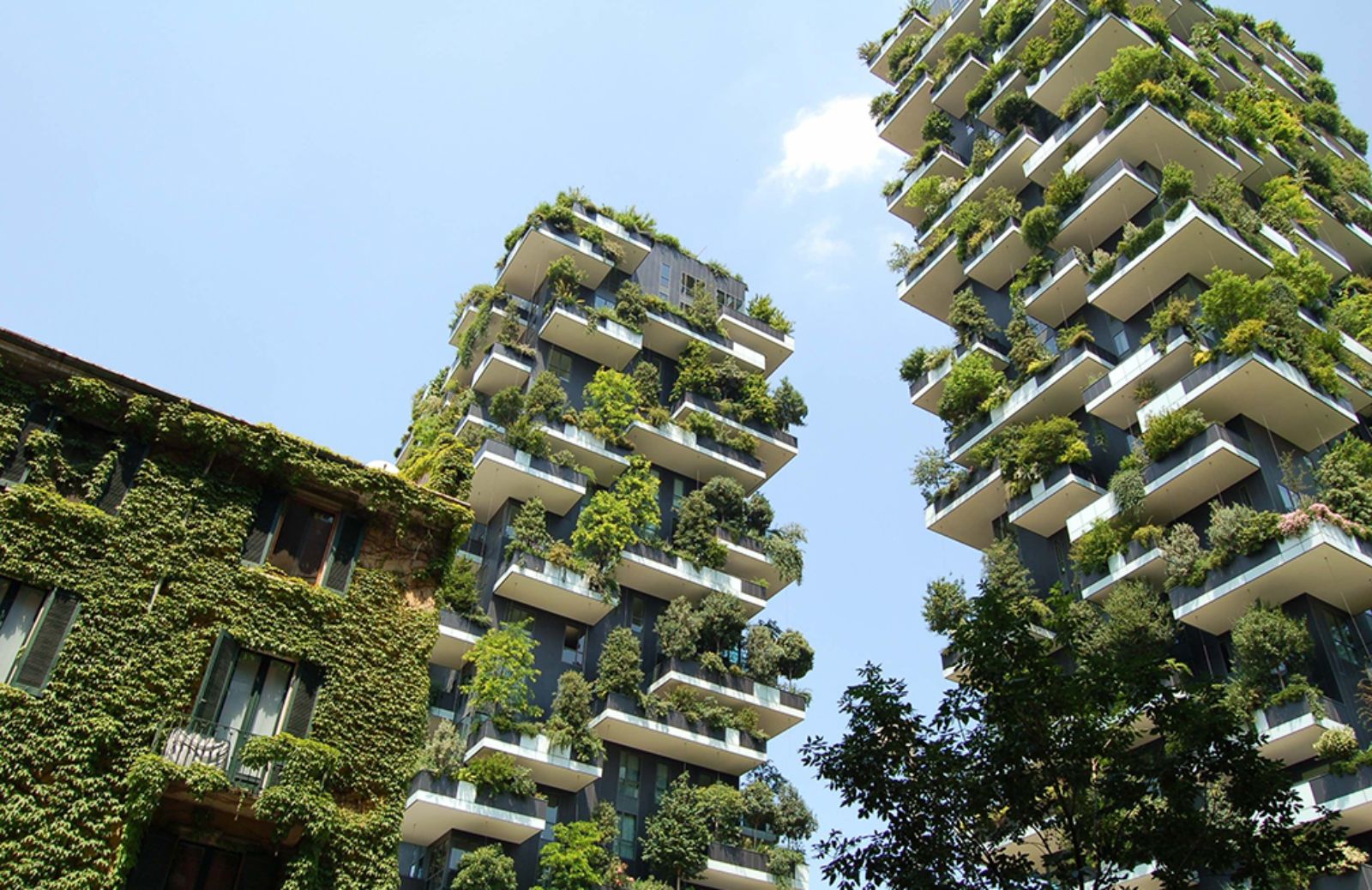 Cos'è il Bosco Verticale?