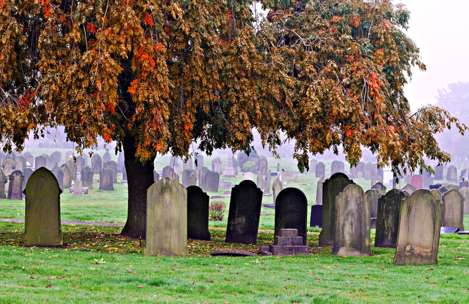 Abitare accanto al cimitero conviene 