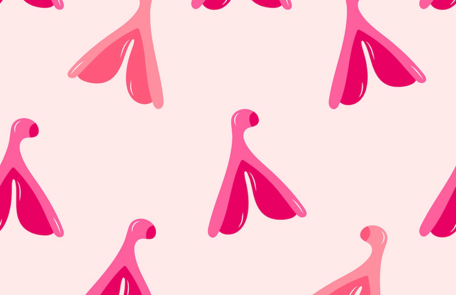 Abbiamo finalmente la mappatura del clitoride (trent'anni dopo il pene)