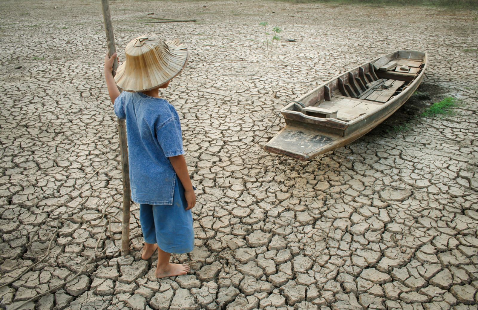 Riscaldamento globale: l'anno con il clima più caldo mai registrato è il 2016