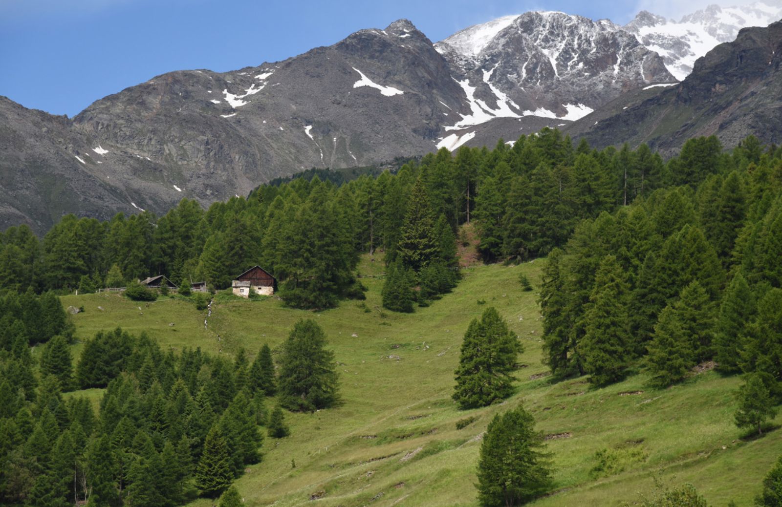 Un terzo degli habitat europei è a rischio 