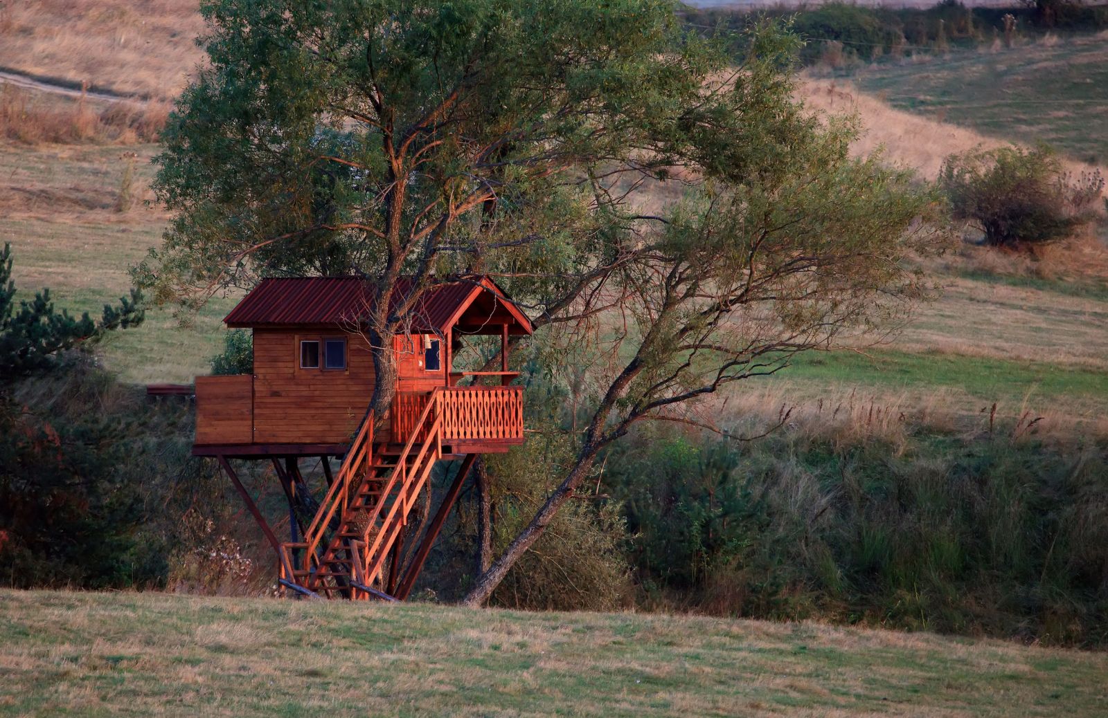 5 hotel italiani in cui è possibile dormire in una casa sull'albero