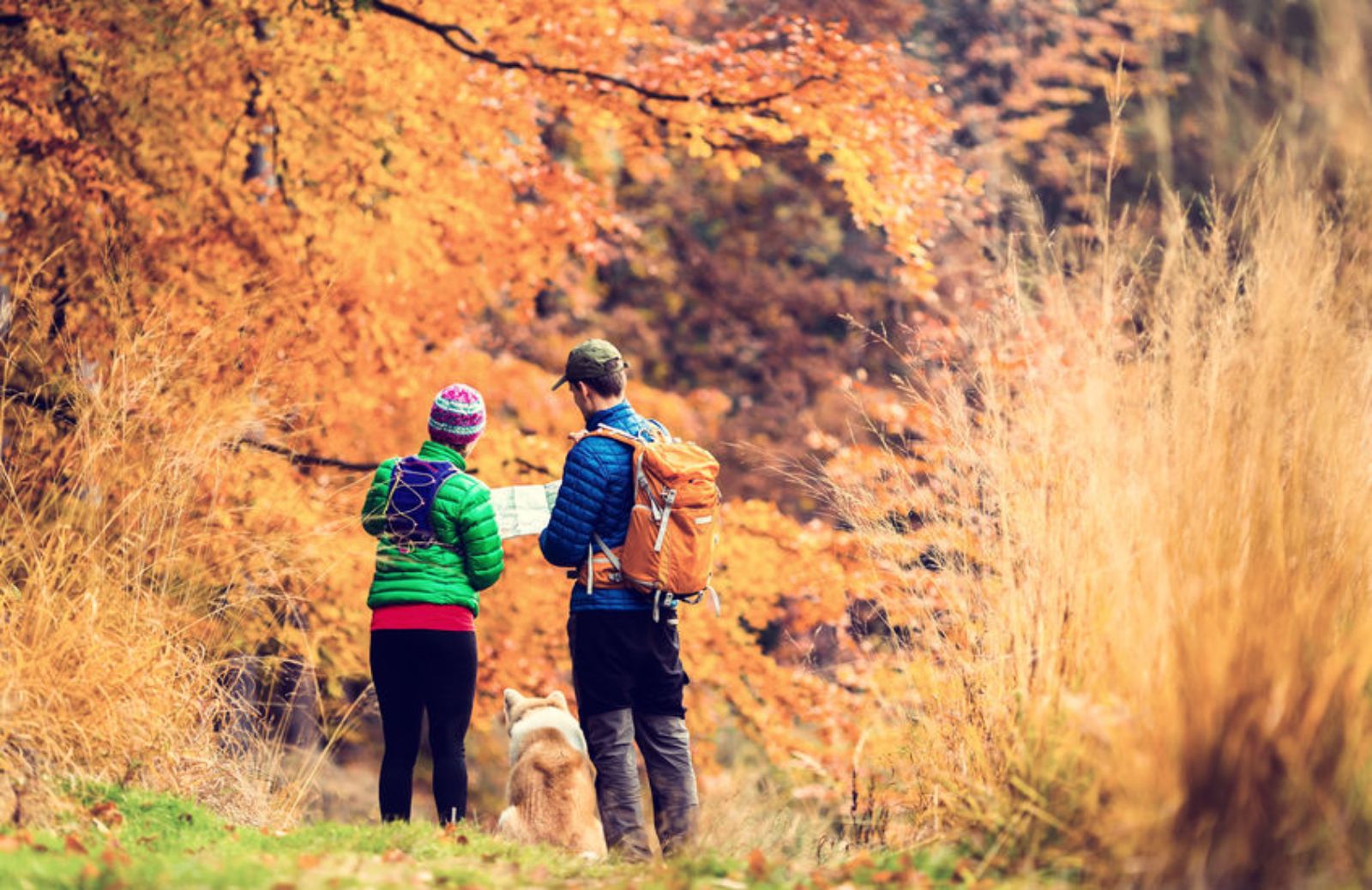 Fare trekking in autunno: 6 escursioni da non perdere