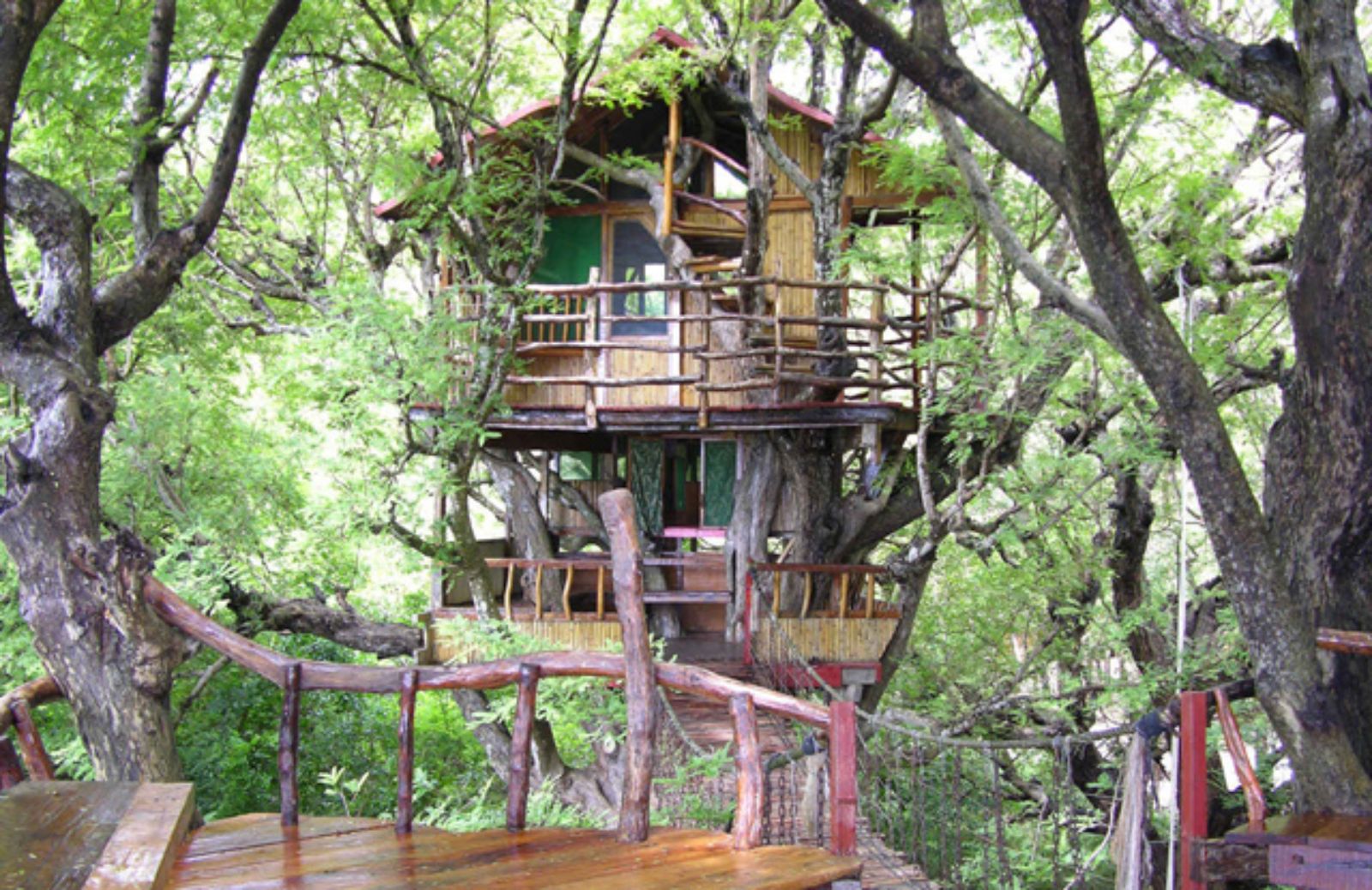 I 10 hotel sull’albero più incredibili del mondo