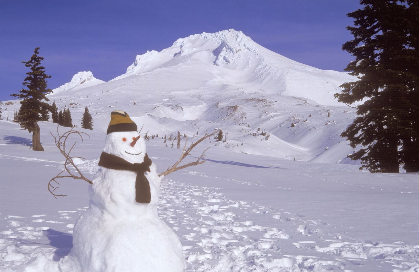 Pupazzo di neve: 5 libri da leggere o colorare 