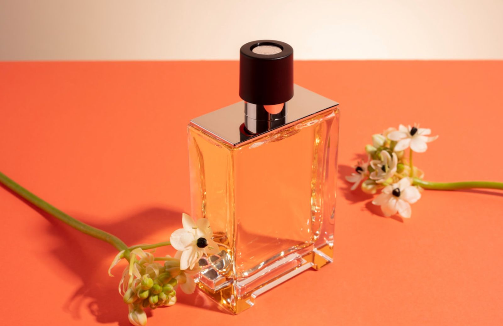 Profumi scontati donna: dove trovarli?
