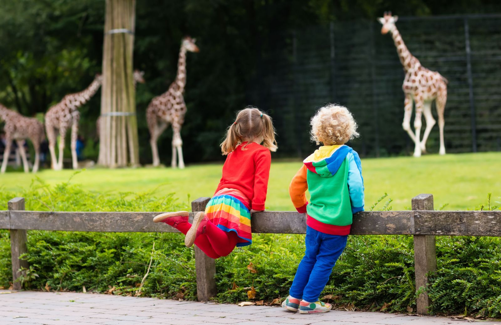 Zoo safari: da nord a sud, i 5 parchi più belli d’Italia