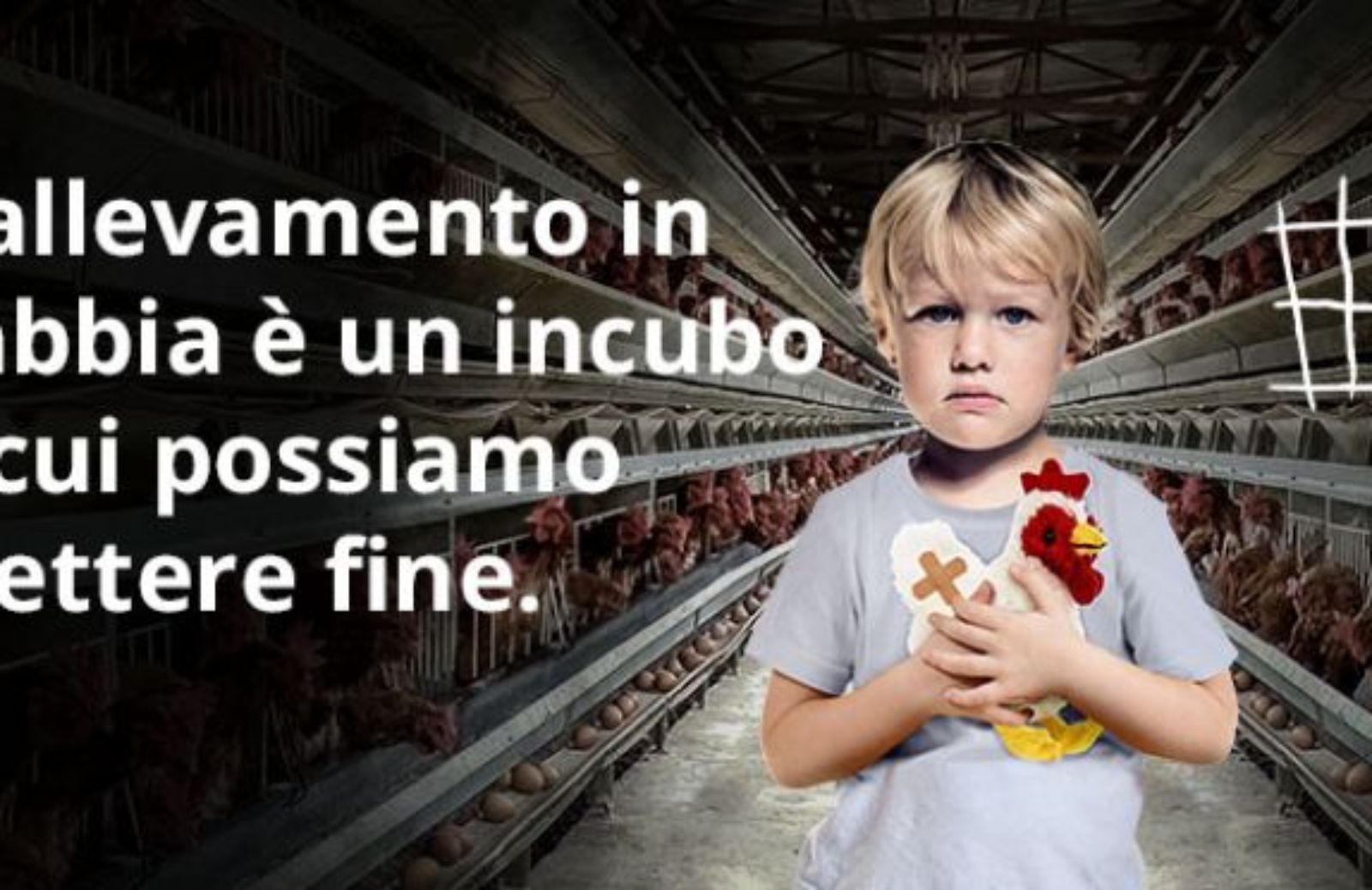 Animali in gabbia: la petizione End the cage age