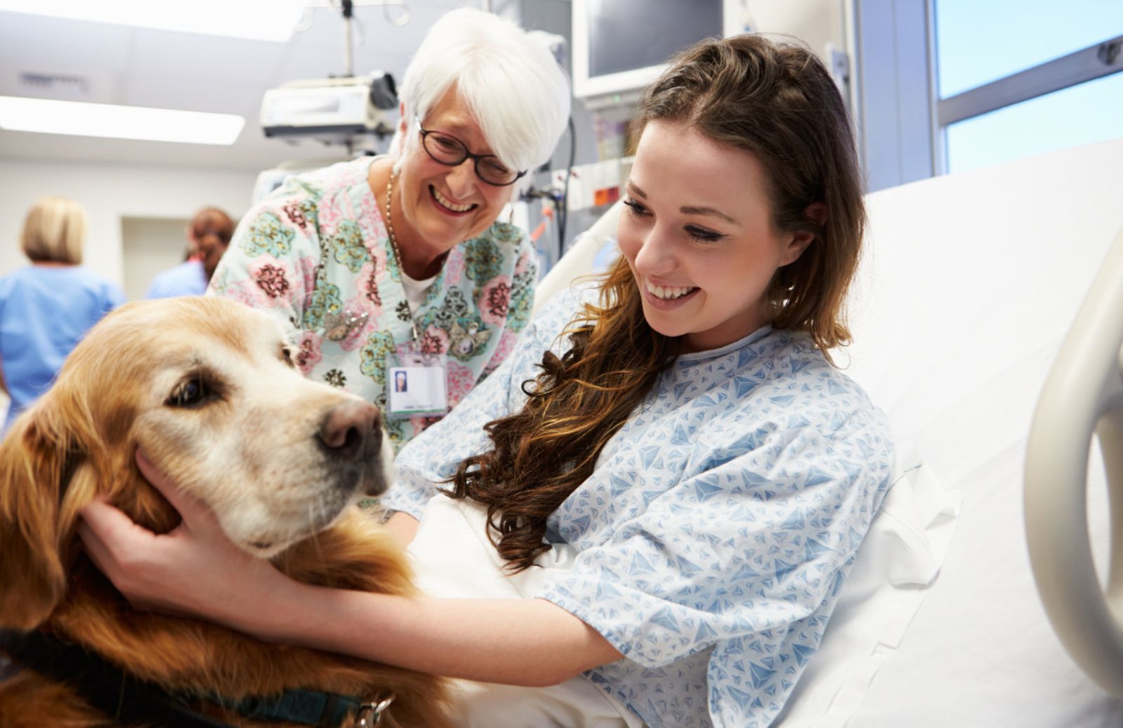 In Lombardia via libera ai pet negli ospedali e nelle case di cura