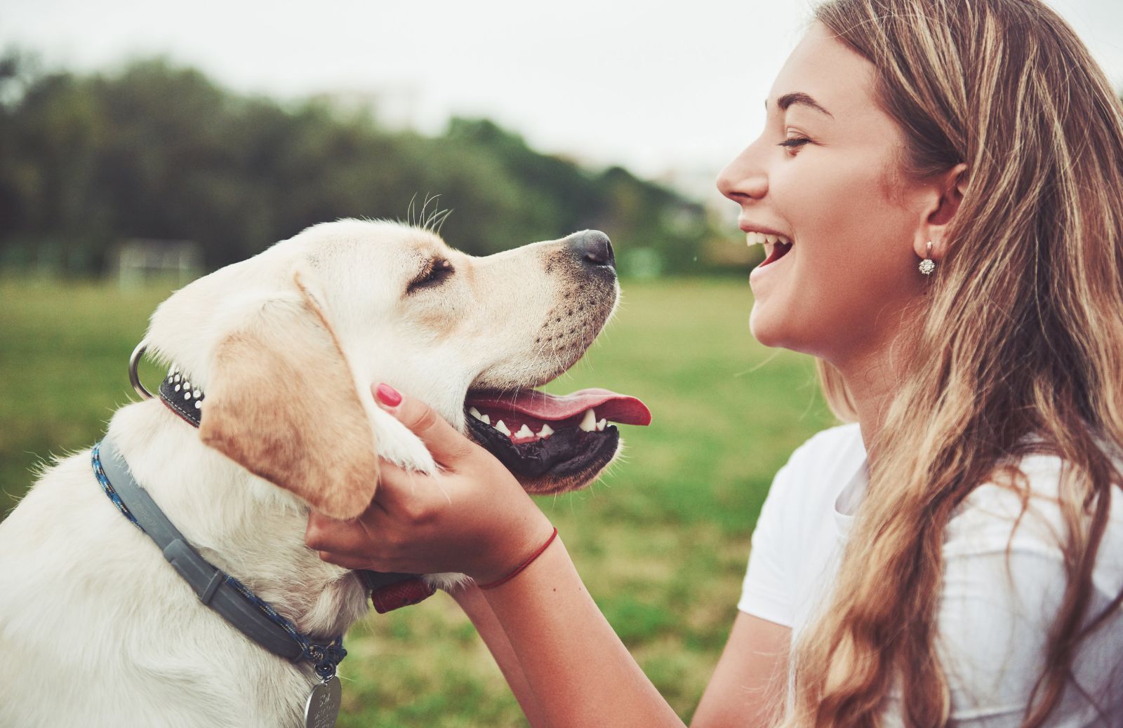 Bonus animali domestici 2022: cos'è e come si ottiene