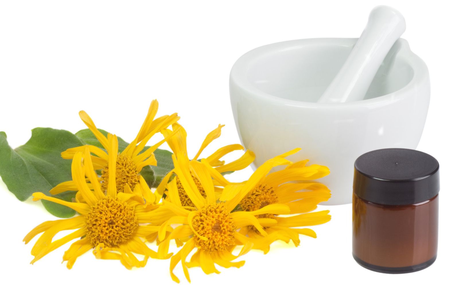 Svelati gli effetti dell'Arnica montana: ecco come aiuta a guarire