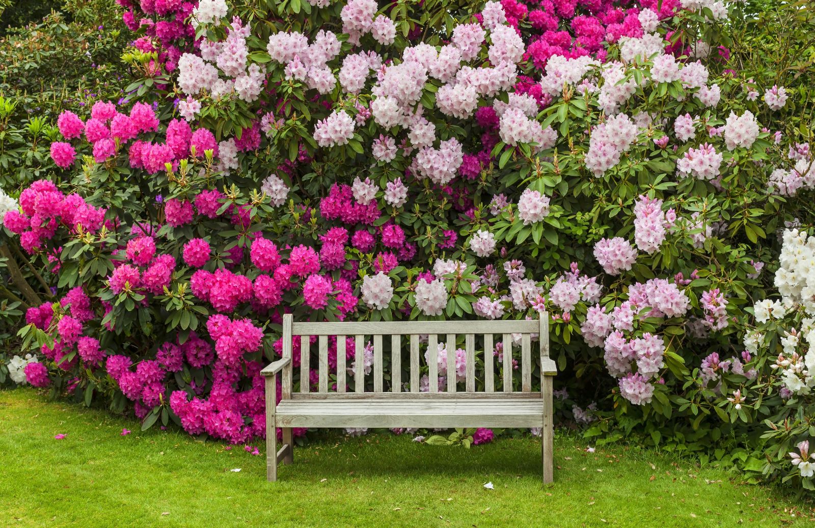 Gli stili del giardino