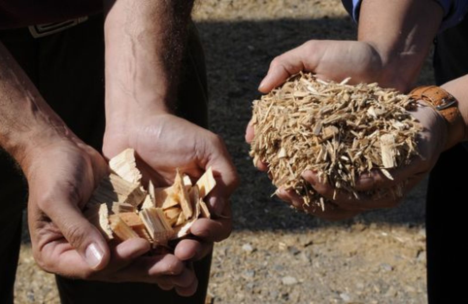 Come scegliere pellet di qualità