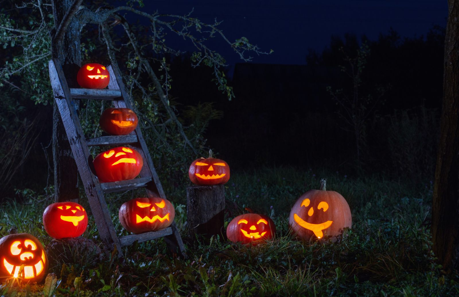 Come addobbare il giardino per Halloween