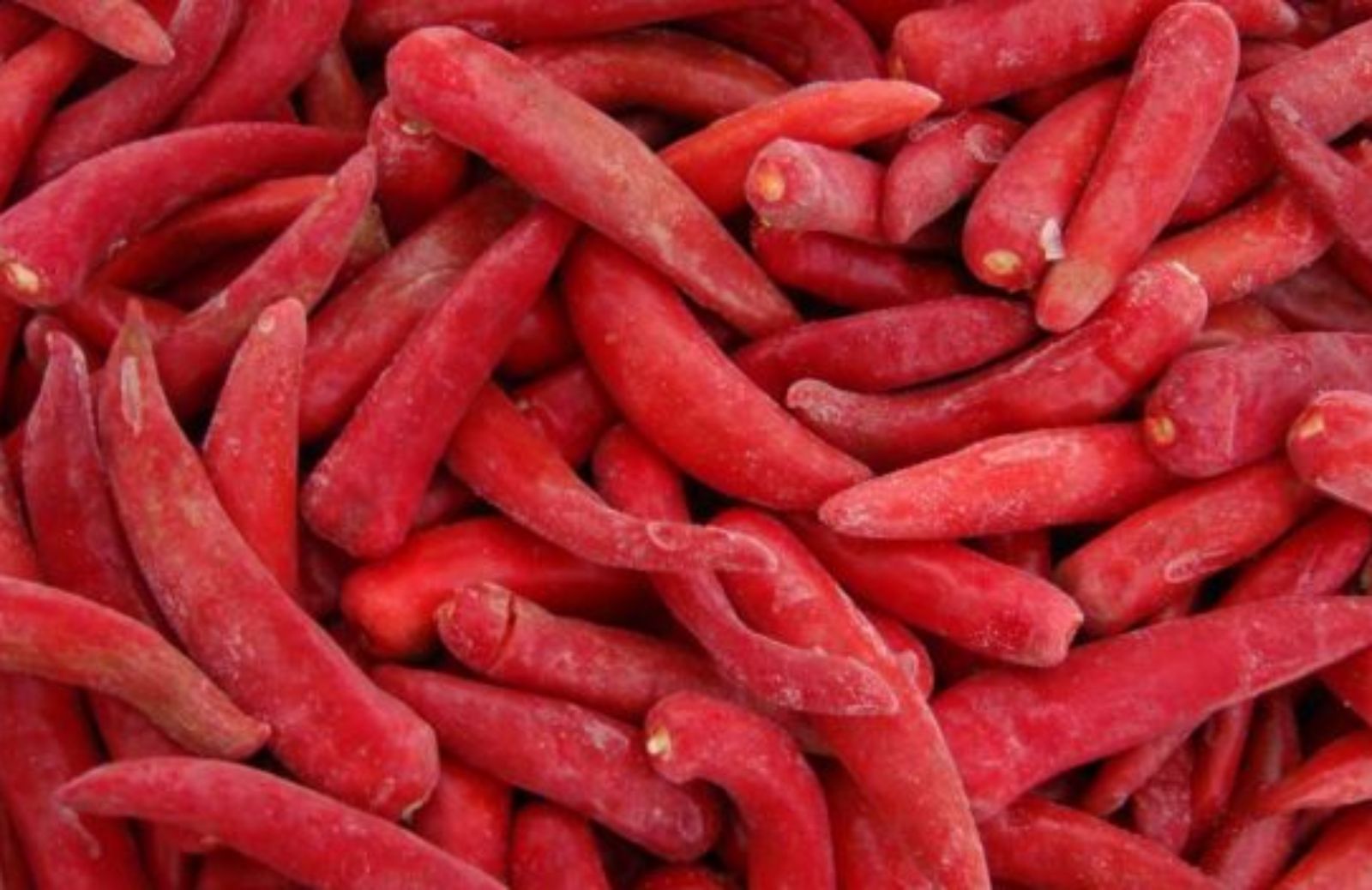 Come coltivare il peperoncino