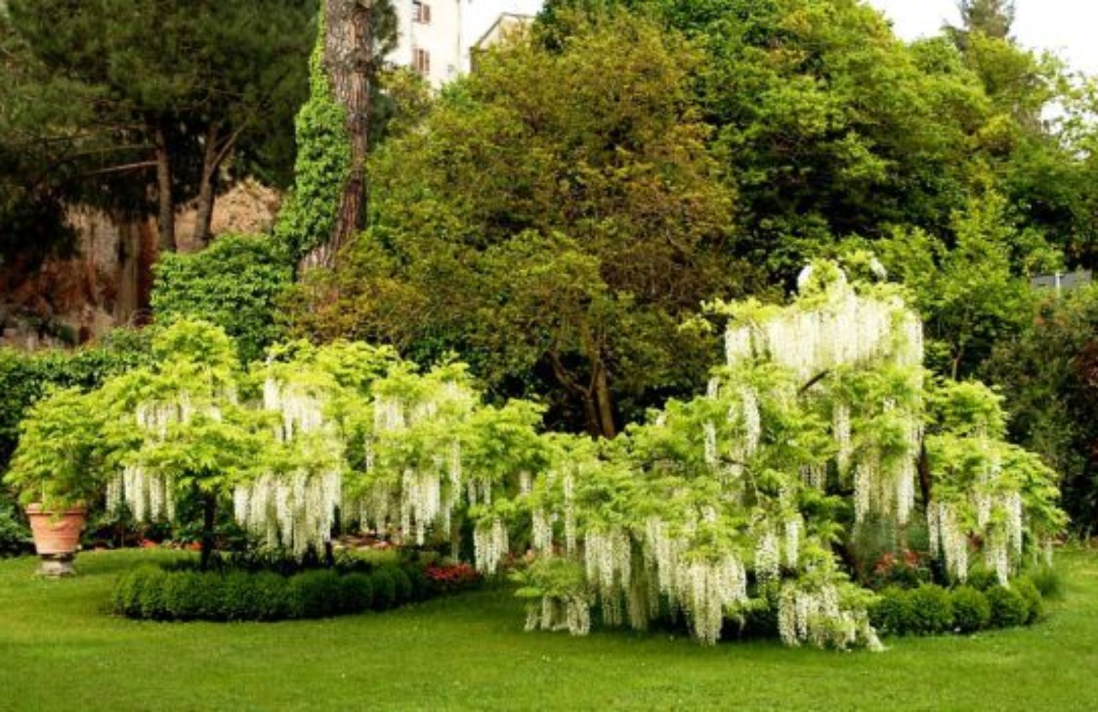 Come curare il tuo giardino risparmiando