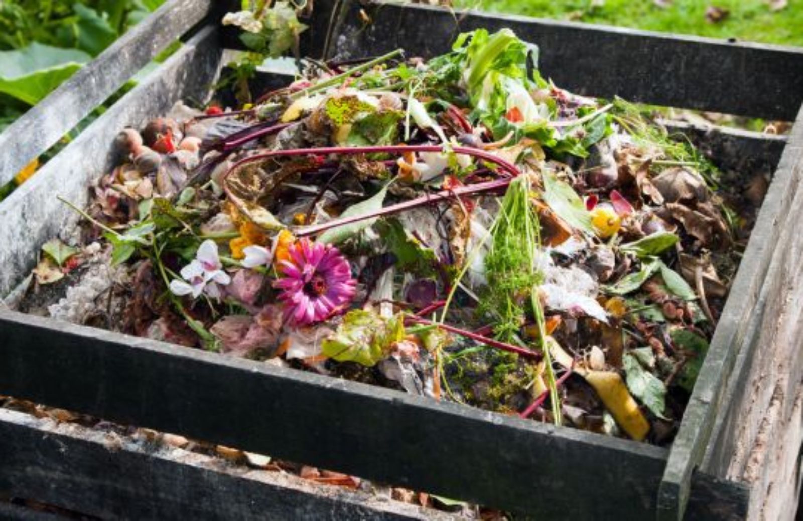 Come e quando impiegare il compost