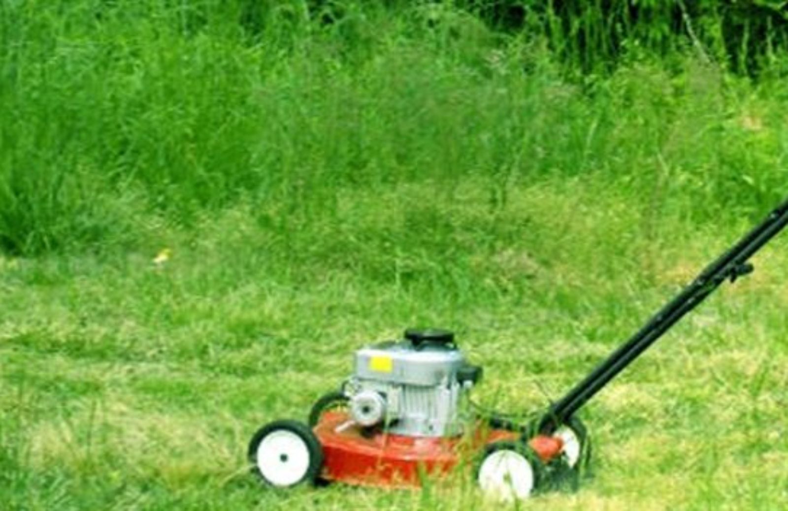 Come fare la manutenzione invernale del tosaerba