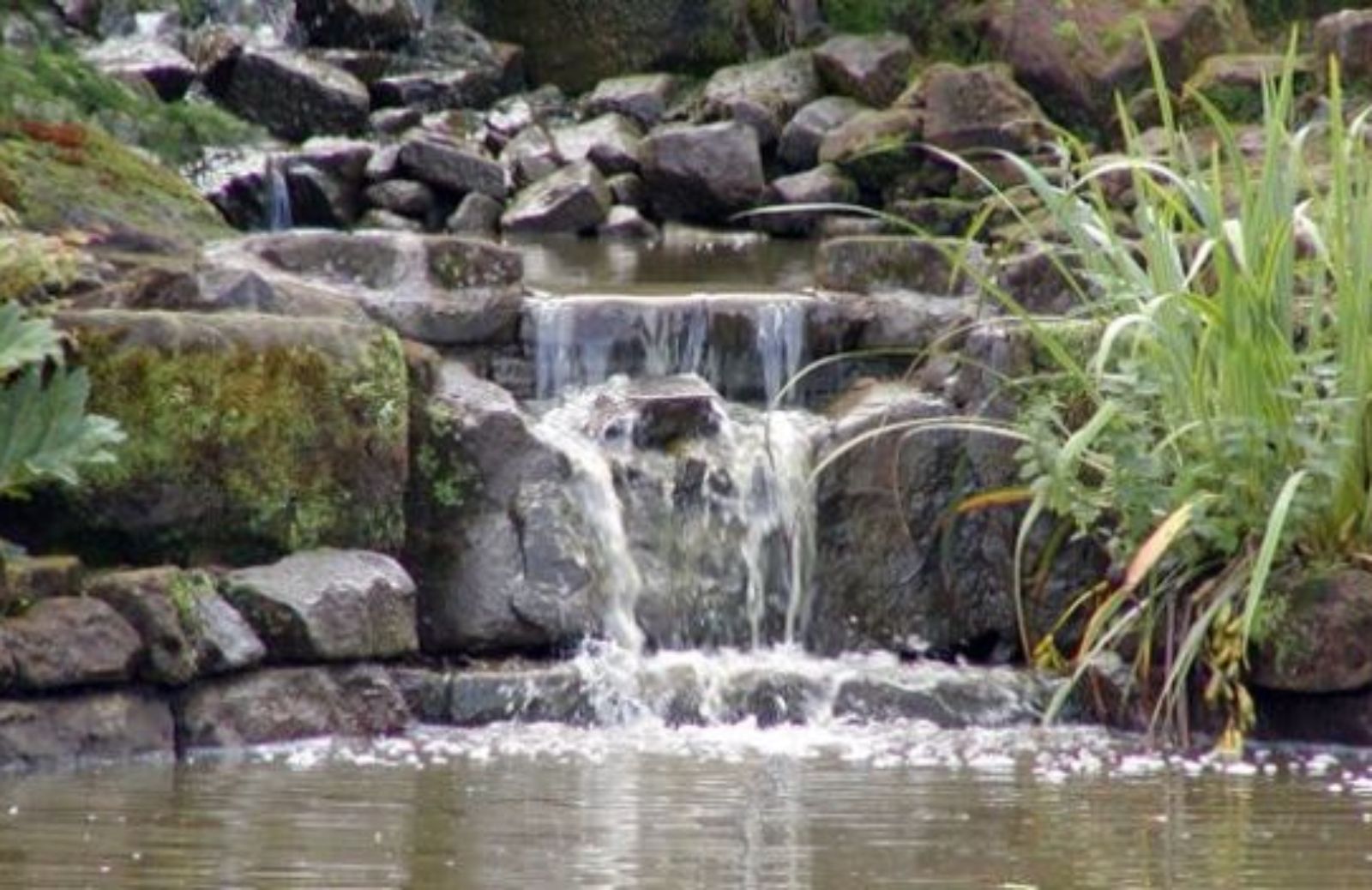 Come progettare fontane e cascate per il giardino