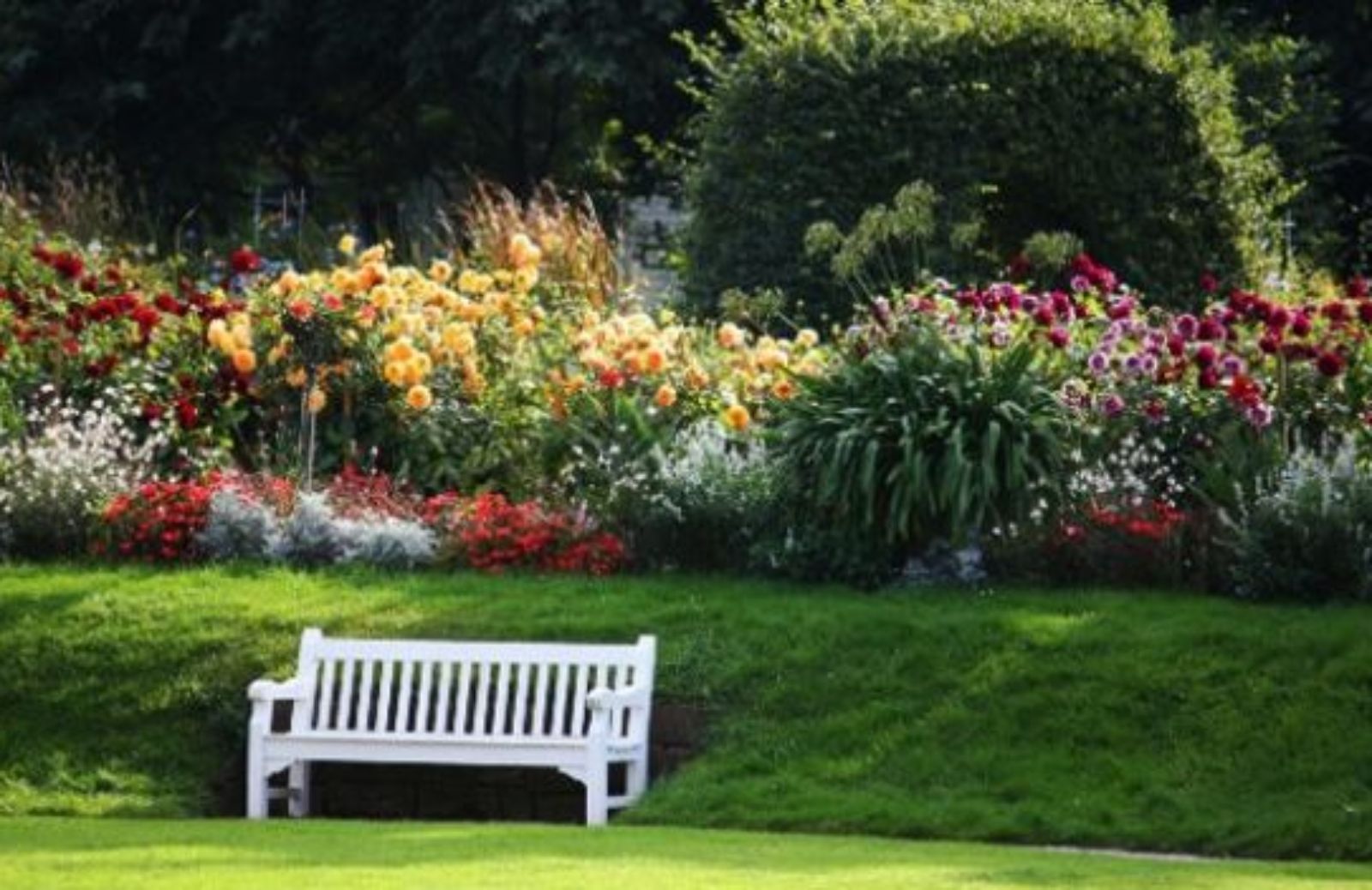 Come progettare il giardino