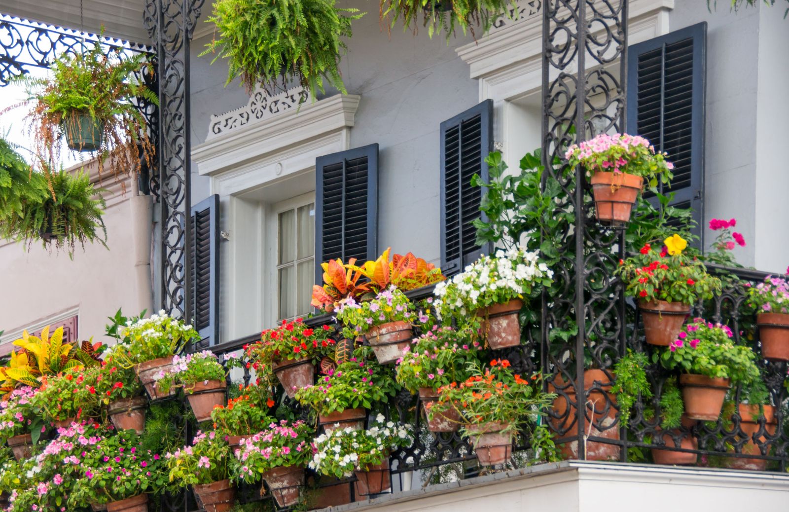 Piante da balcone: come risparmiare spazio con i vasi verticali