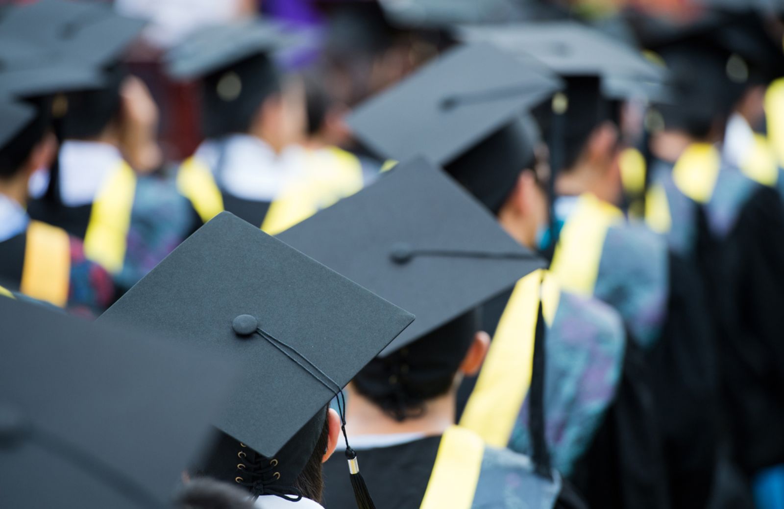 Come chiedere il riscatto della laurea