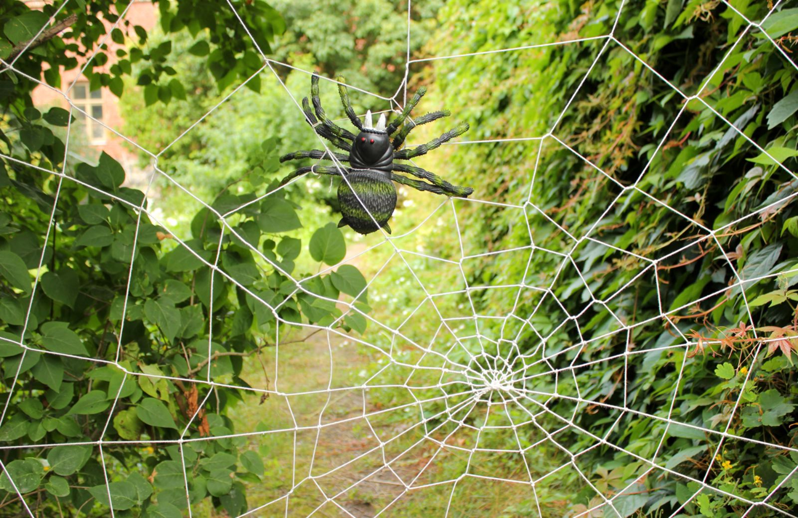 Come creare una finta ragnatela per Halloween