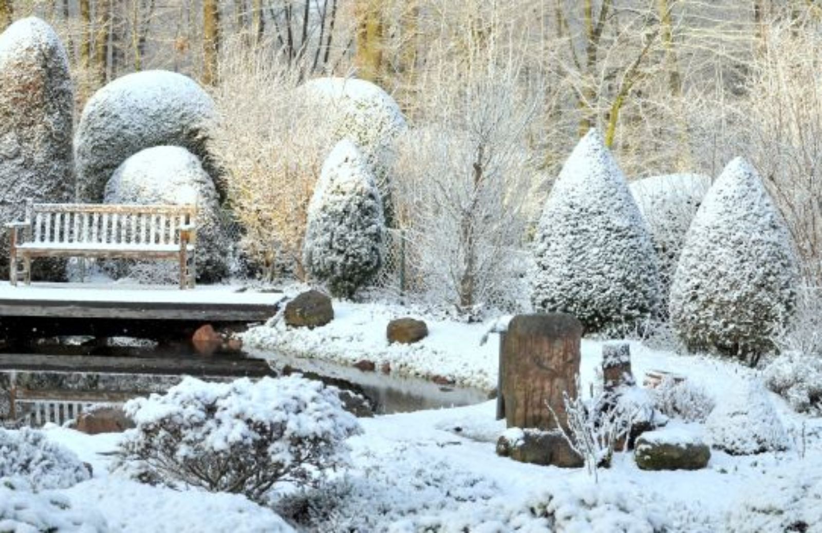 Come curare l'orto e il giardino in gennaio: il calendario dei lavori