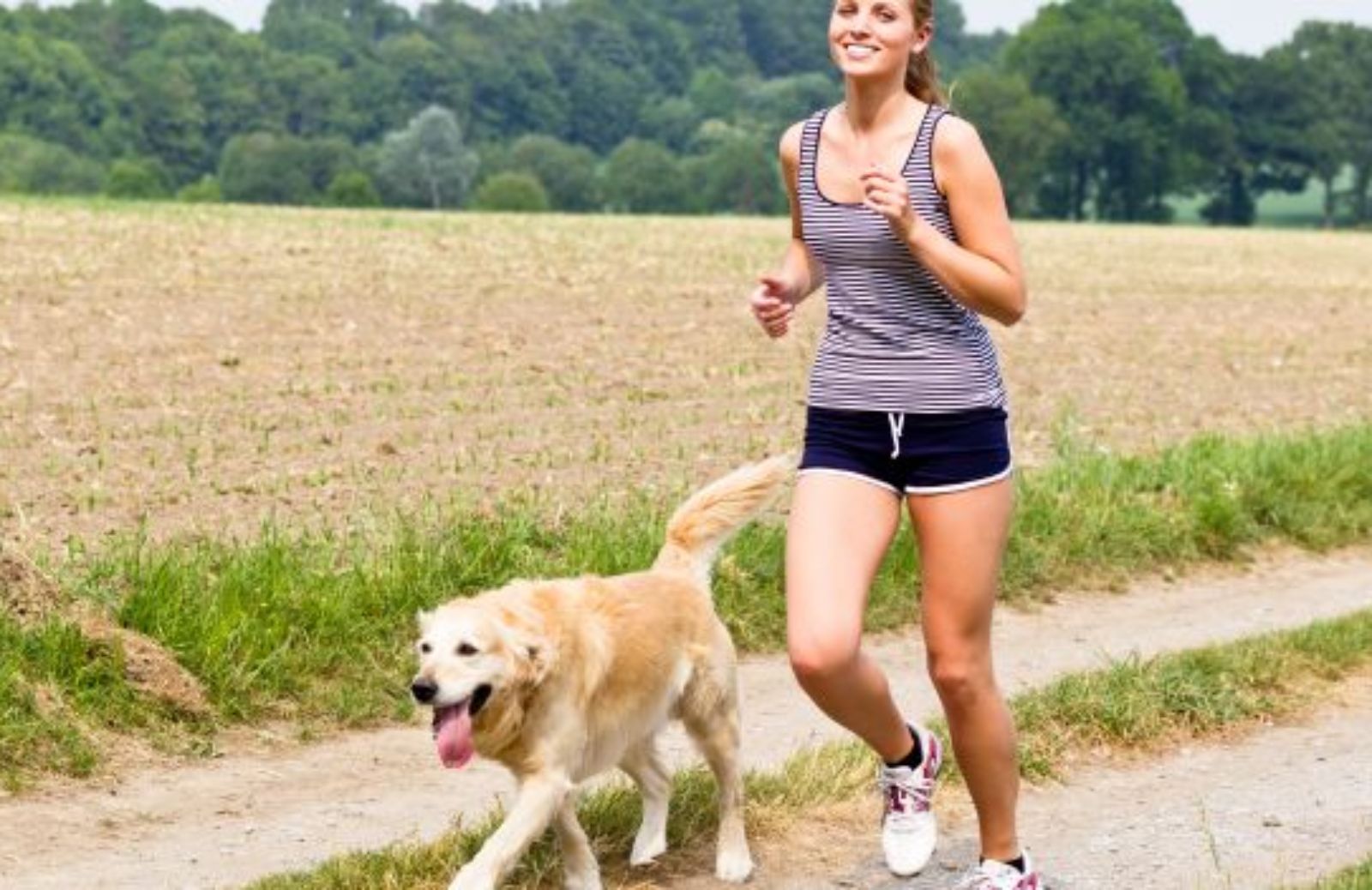 Come fare fitness col cane 