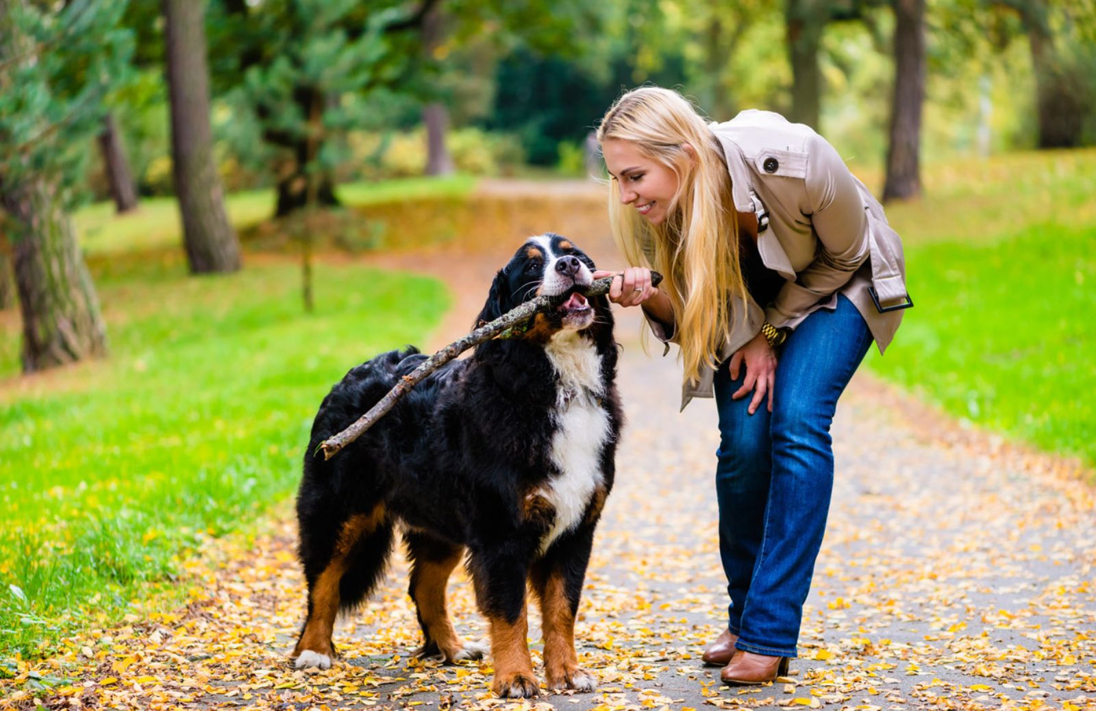 Dog walker, un lavoro da 26.500 sterline l'anno