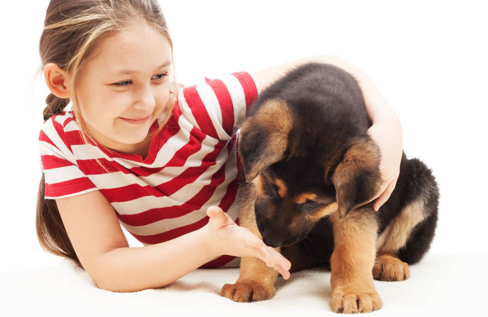 L’odore del padrone rende felici i cani