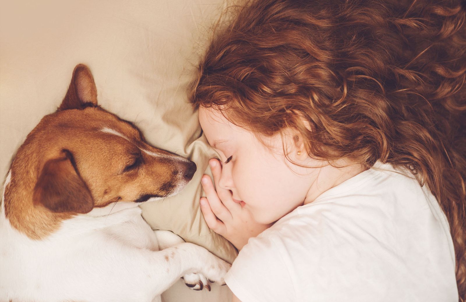 Sognare il cane: significato e interpretazioni