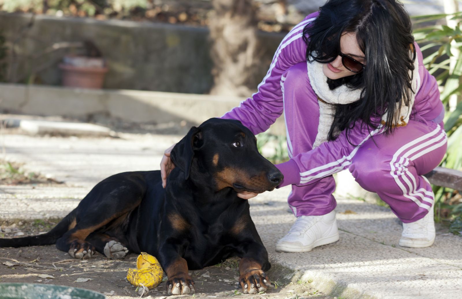 Come diventare volontari animalisti