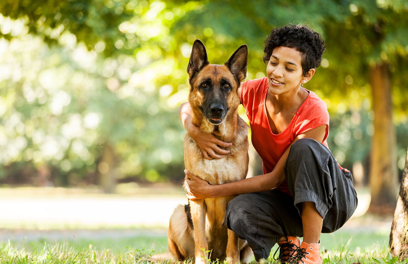 Pet sitter: come trovare lavoro