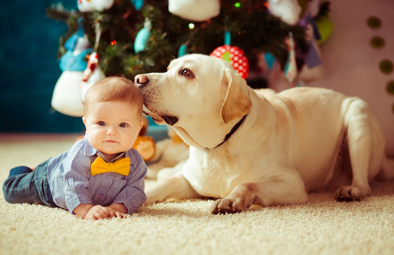 5 giochi da fare in casa con Fido d’inverno