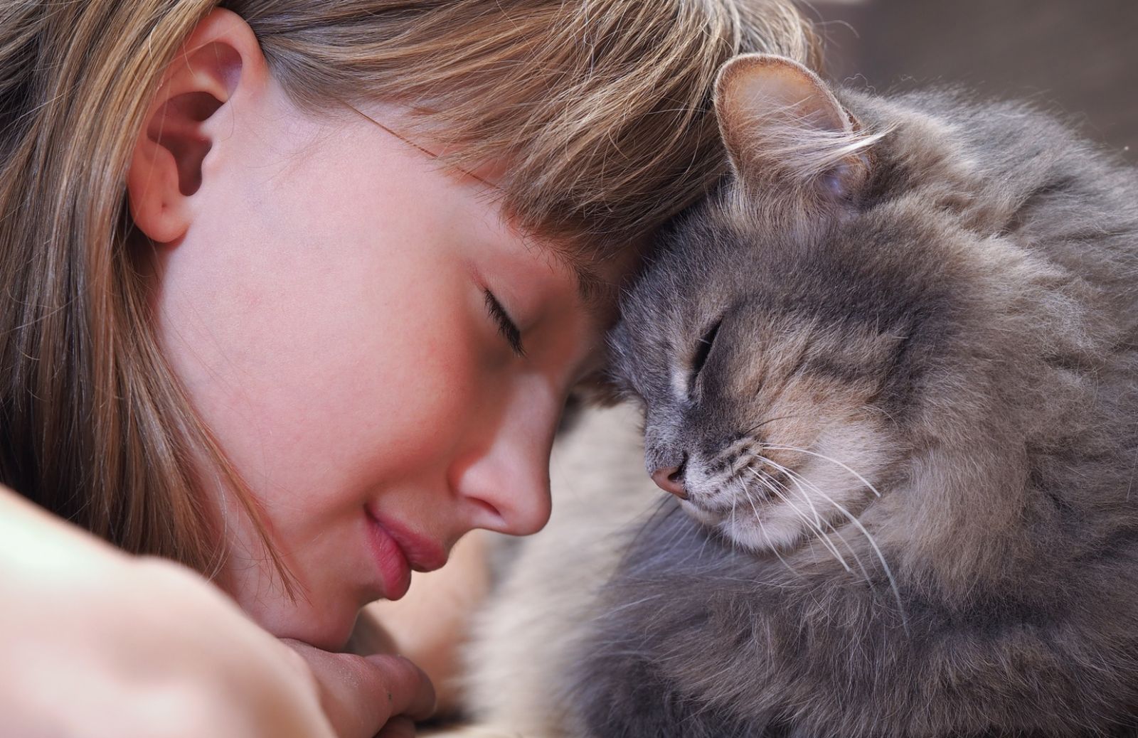 Il gatto in casa: una risorsa per la crescita dei bambini