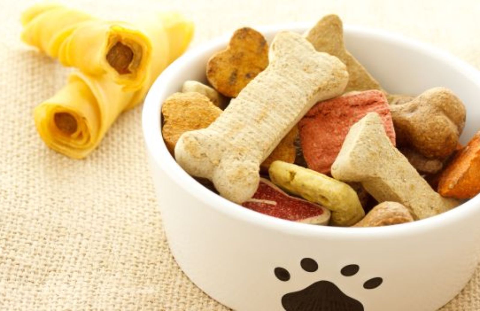 Come preparare i biscotti di Halloween alla zucca per cani e gatti