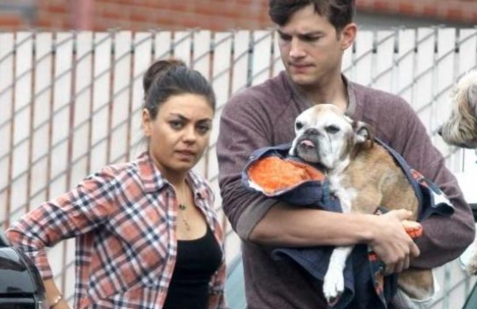 Ashton Kutcher distrutto per la morte del suo cane