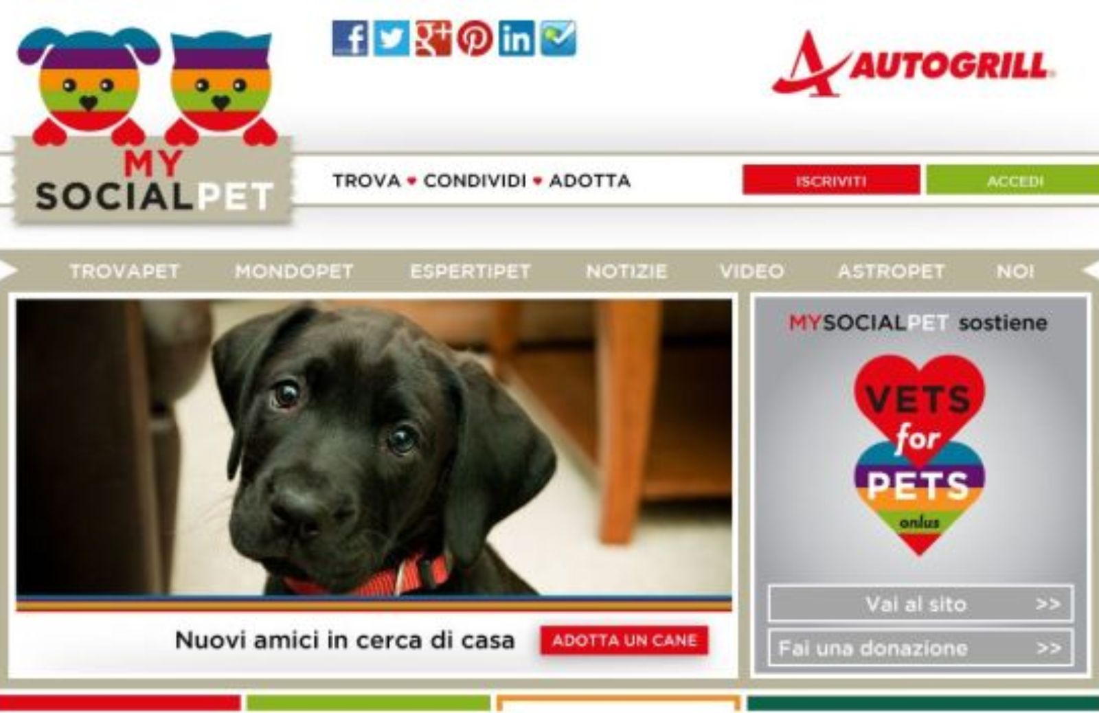 Mysocialpet: il primo motore di ricerca per cani e gatti da adottare