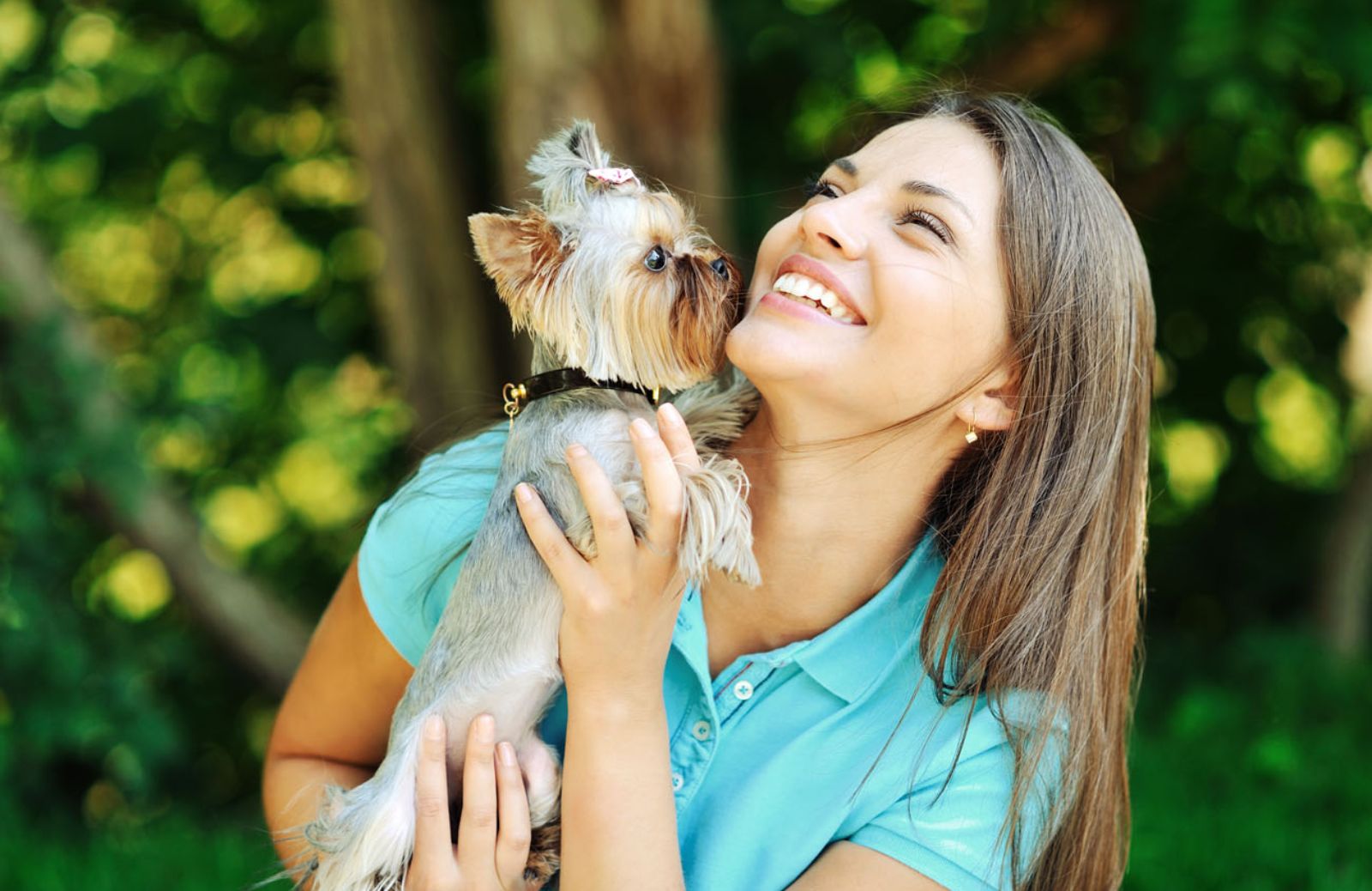 Per i cani gli odori familiari sono come i dolci 