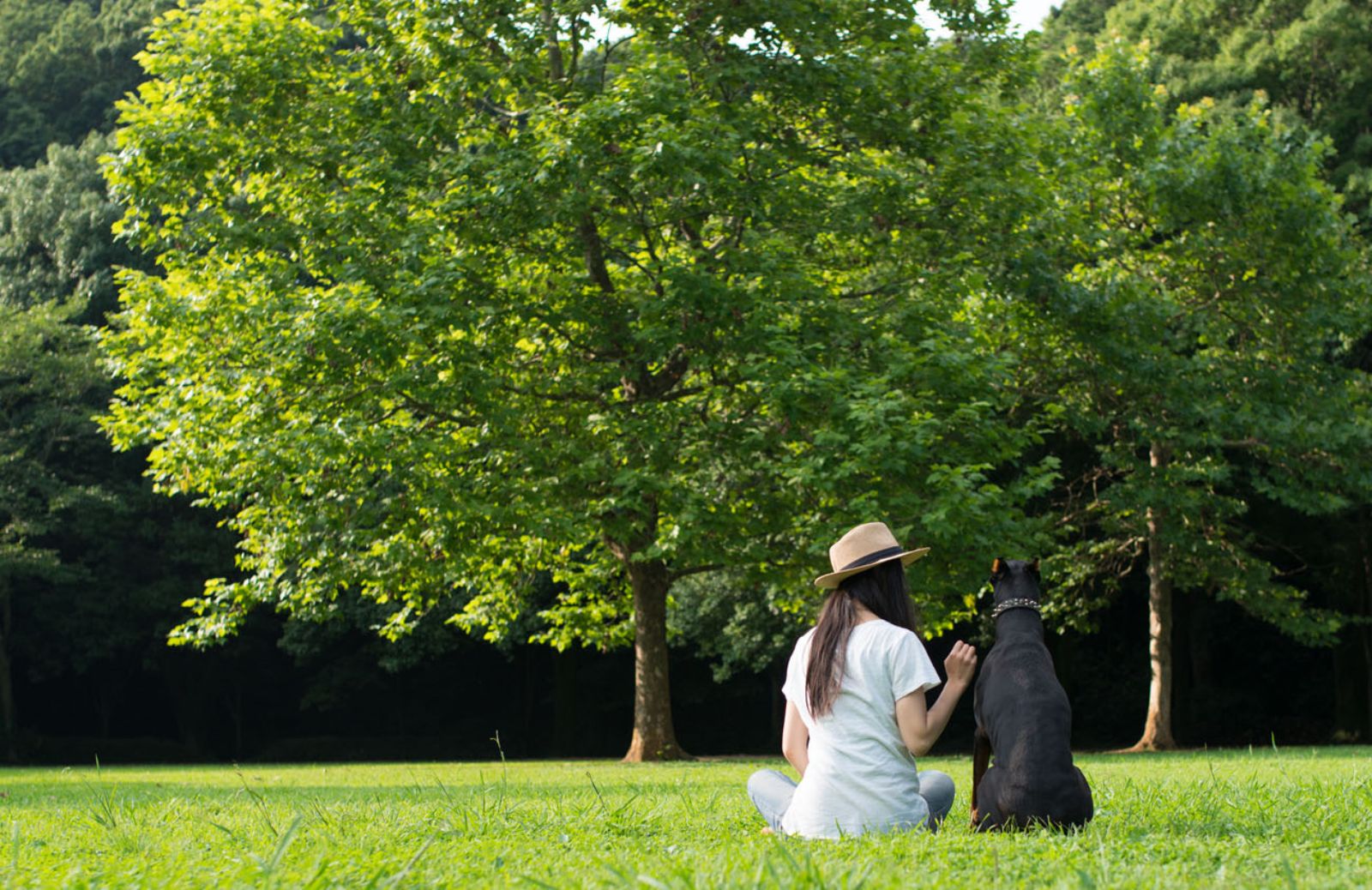 PetMe, migliaia di petsitter online durante l’estate