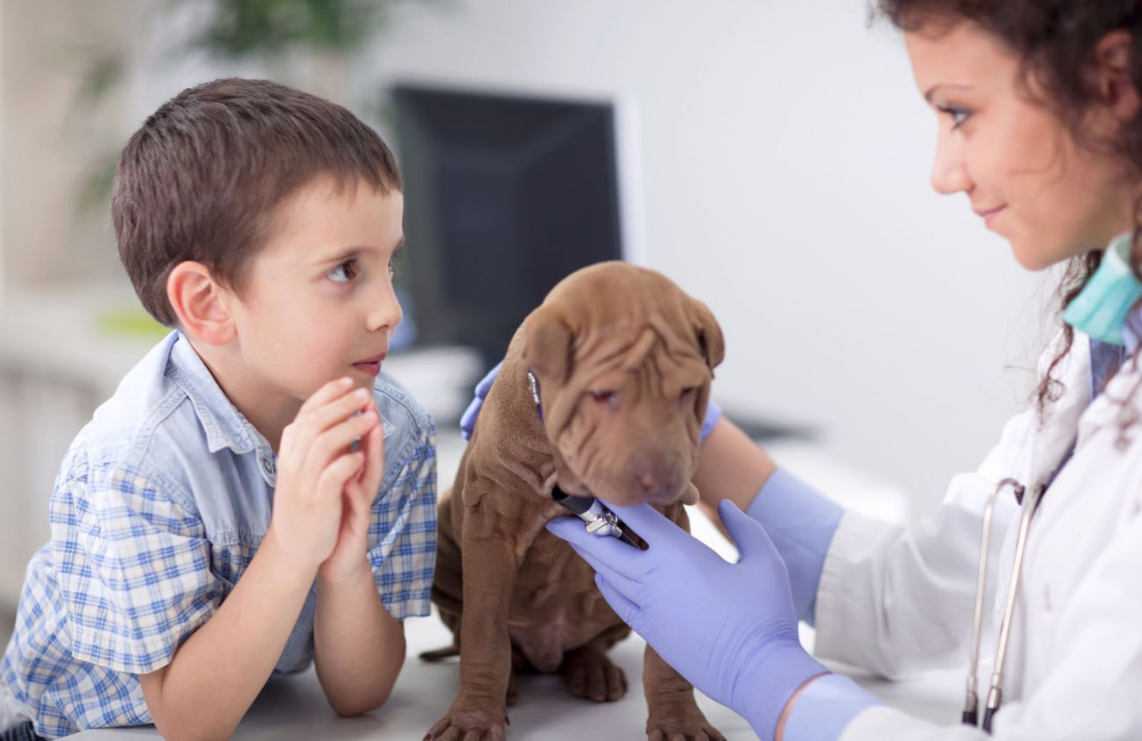 Torna il Mese del Cucciolo