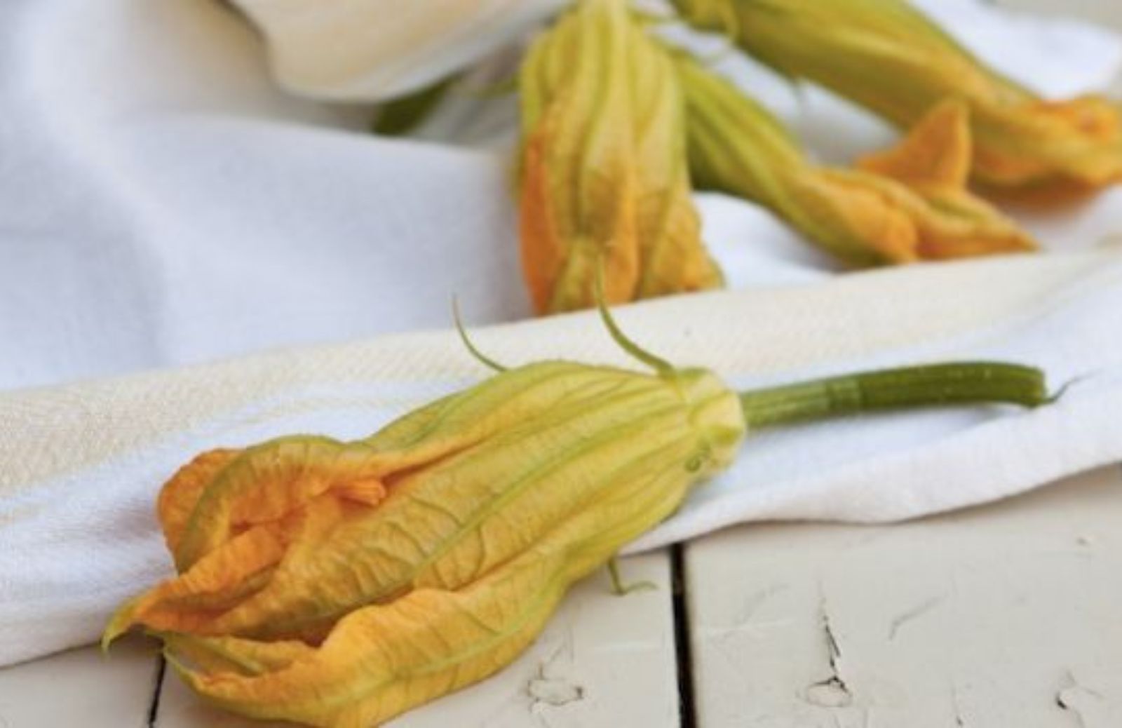 Come fare i fiori di zucca alle verdure