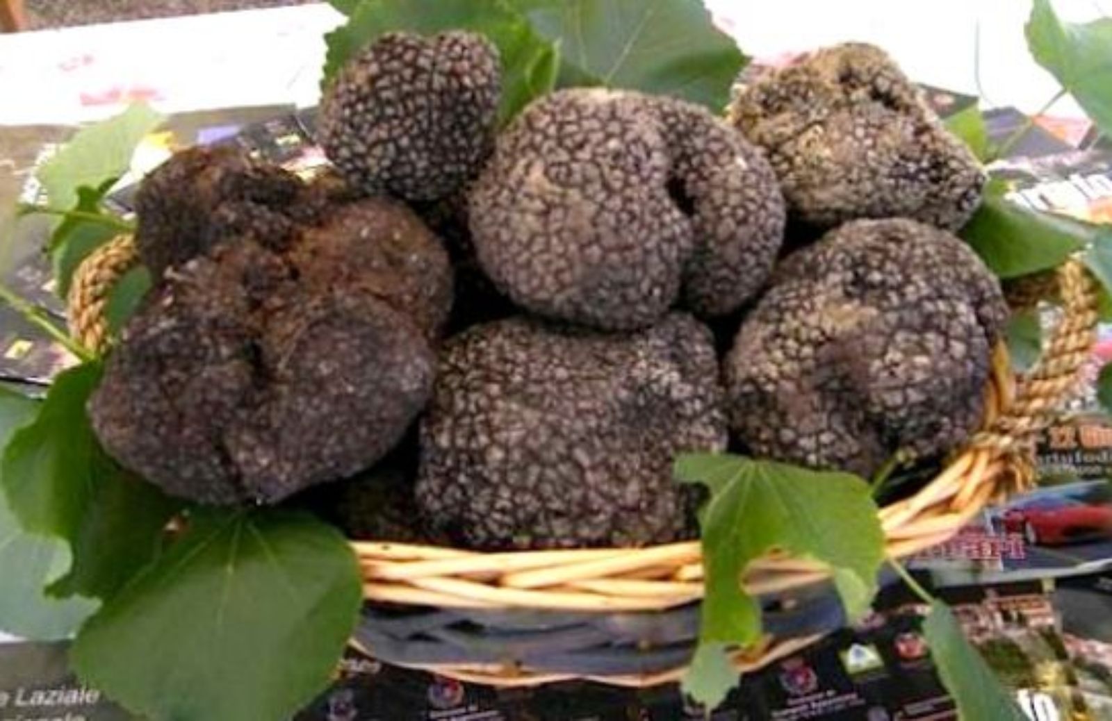 Nero Norcia: torna la mostra del tartufo nero