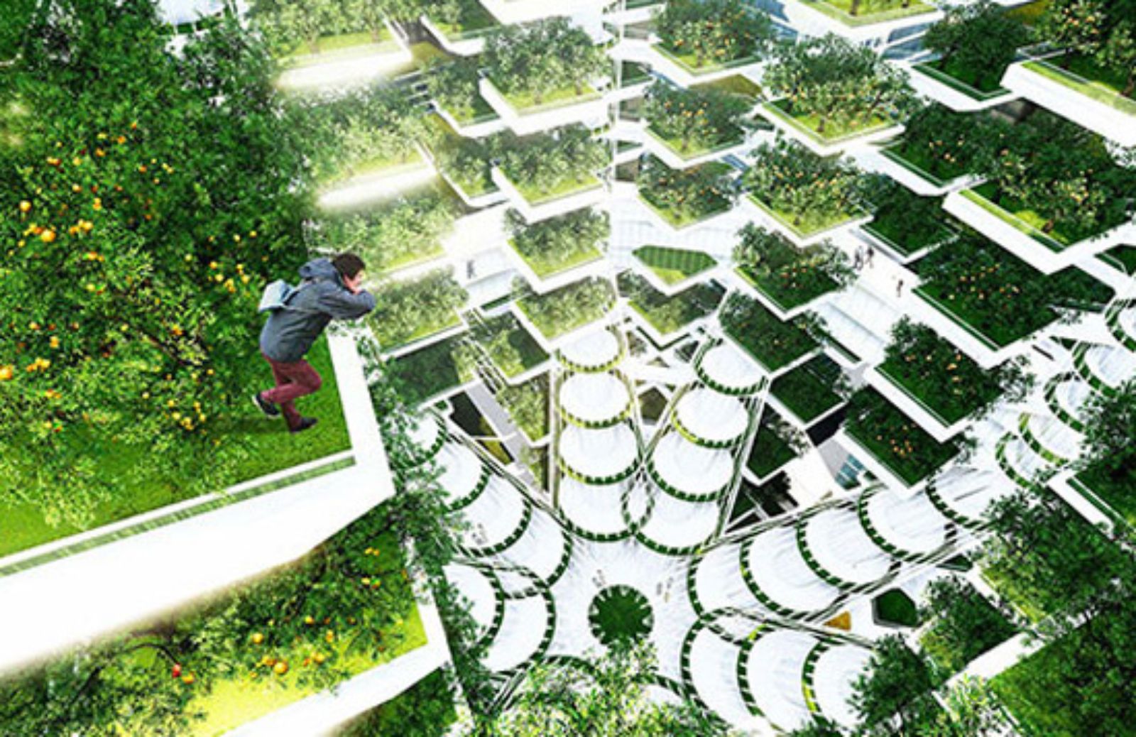 Urban Skyfarm, la fattoria del cielo 