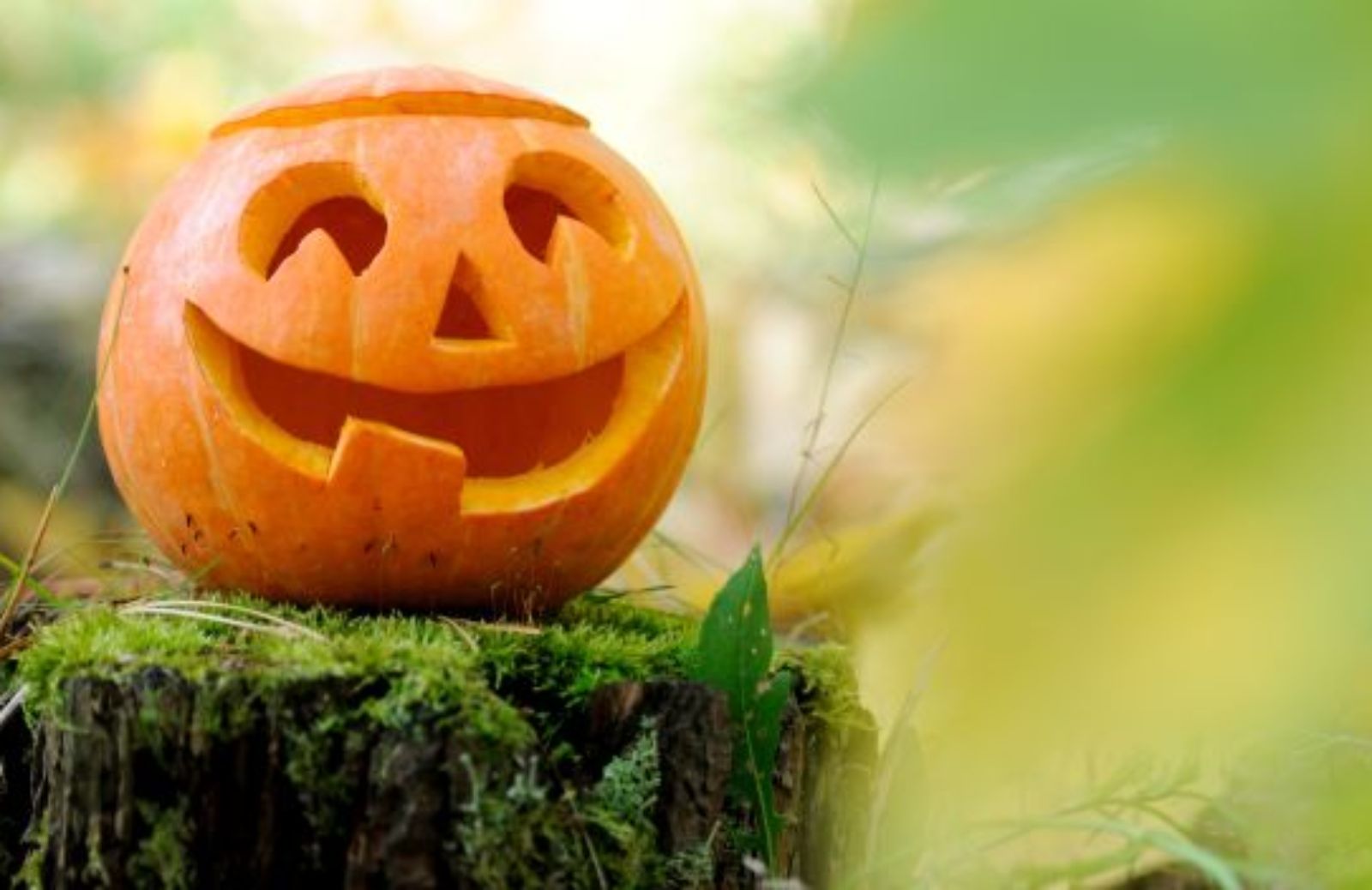 Come decorare la zucca di Halloween senza sprechi