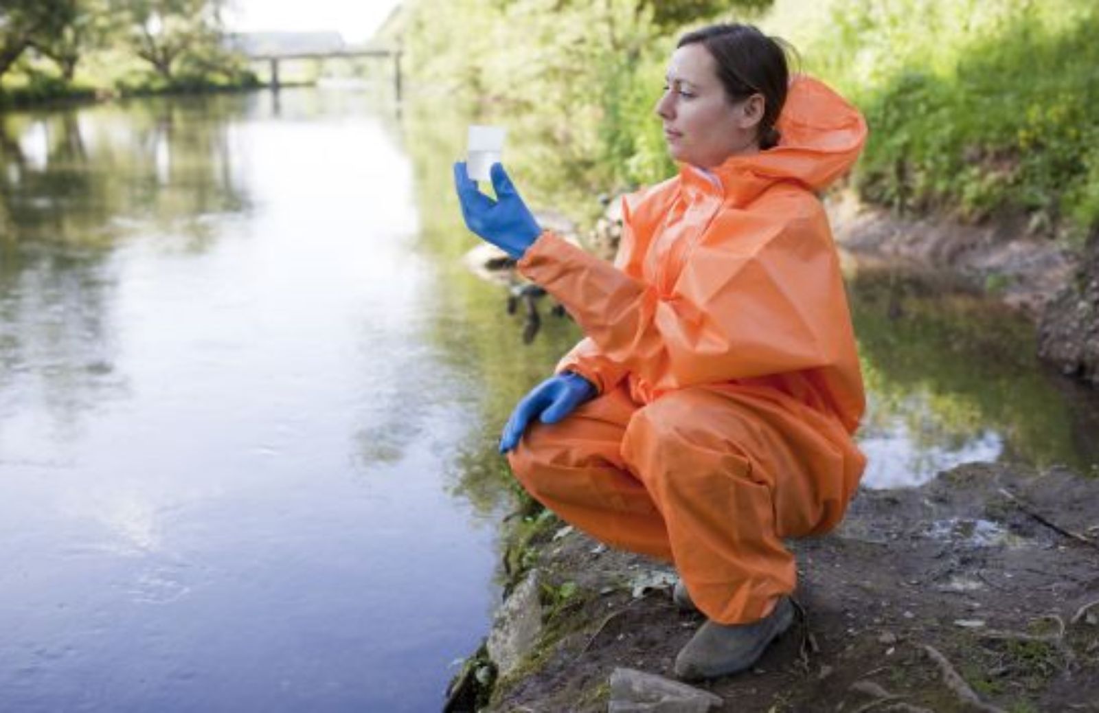 Come diventare Guardia Ecologica Volontaria